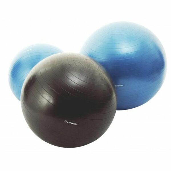 FitNord FitNord Gym ball