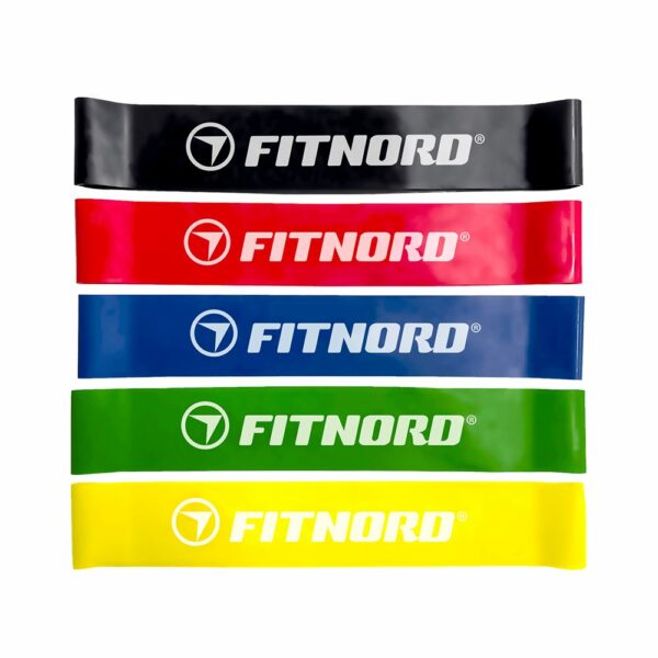 FitNord FitNord Mini band