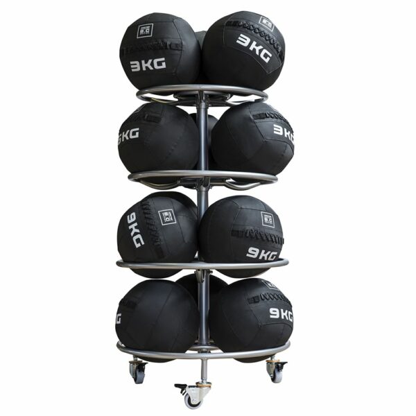 Master Fitness Master Rack Wallball