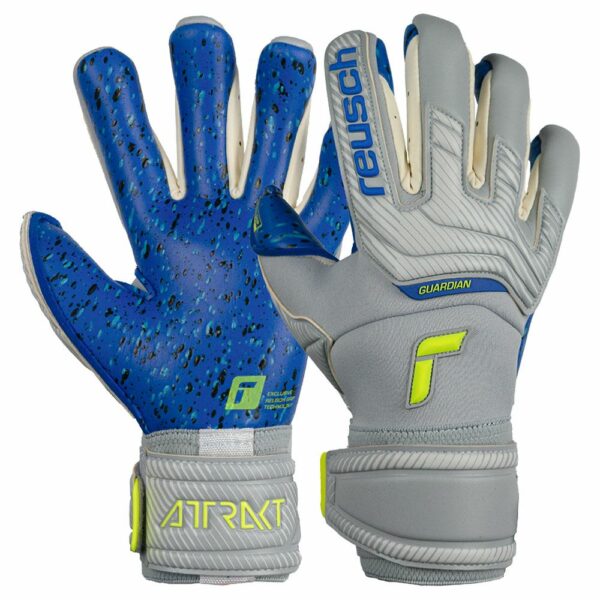 Reusch Attrakt Fusion Guardian