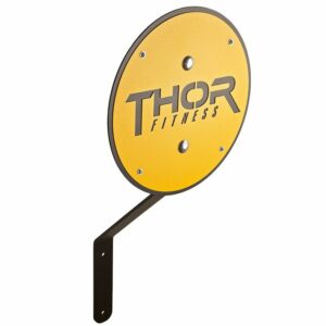 Thor Fitness TF Crossfit Rigg Wallball Target