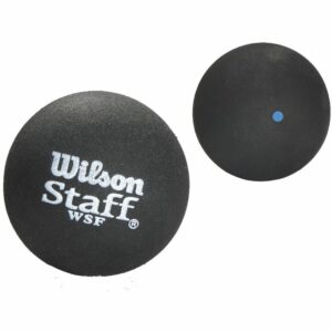 Wilson Staff Squash 2 Ball Blue Dot