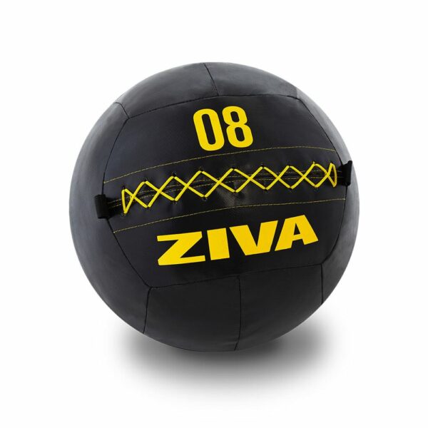 Ziva Wall Ball