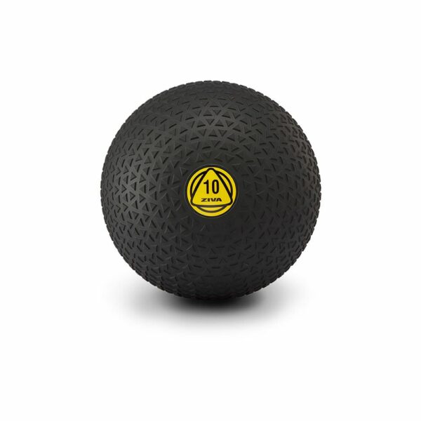 Ziva ZVO Slam Ball