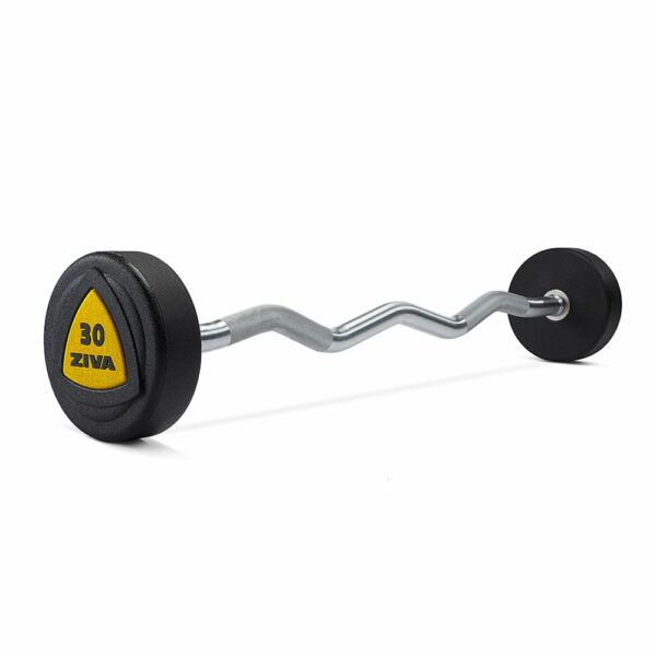 Ziva ZVO Urethane EZ Curl Barbell