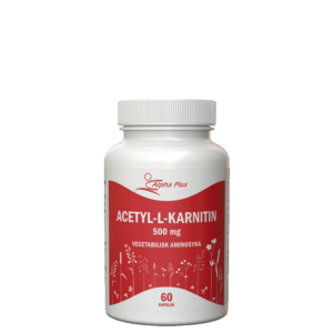 Acetyl-L-karnitin