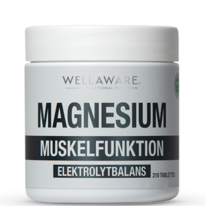 Magnesium 210 Minitabletter