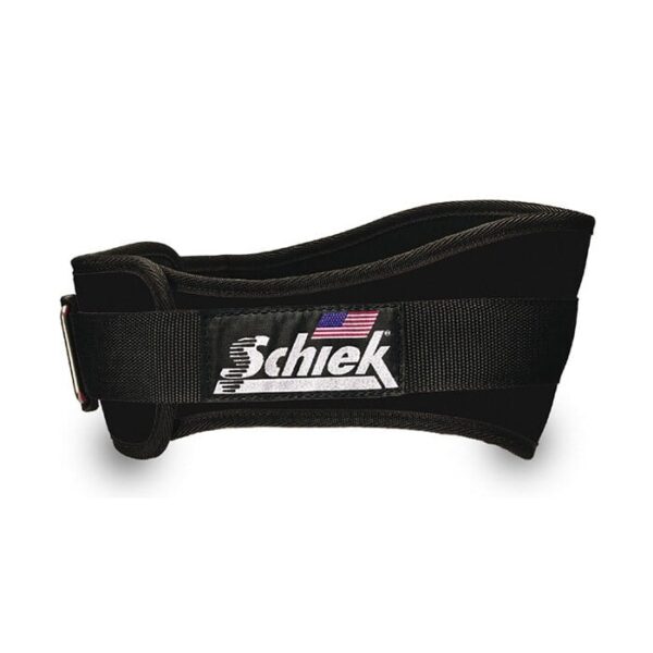 2004 - Workout Belt