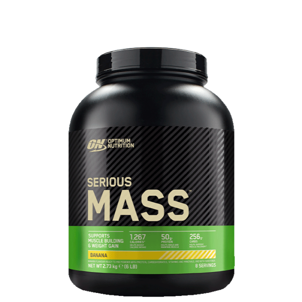 Optimum Nutrition Serious Mass Gainer