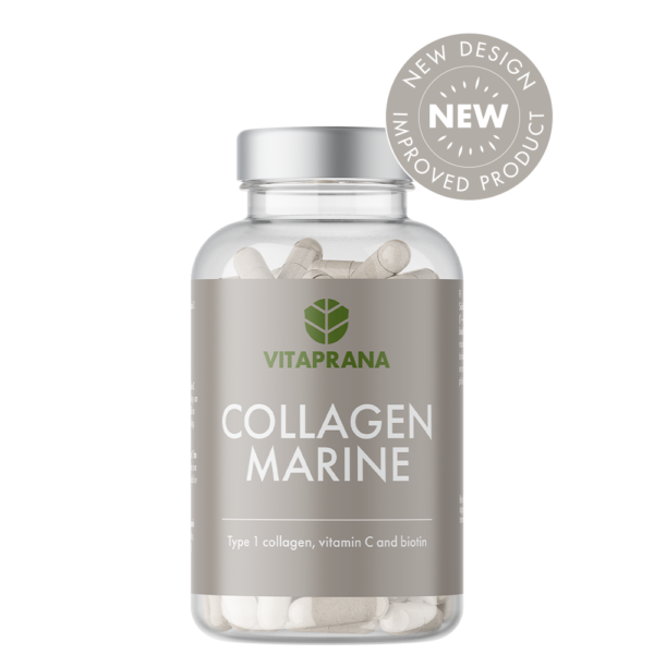 Kollagen Marine