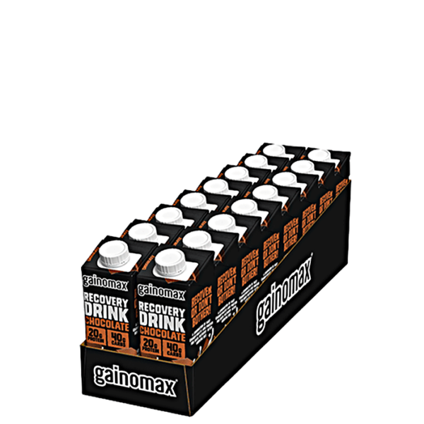 16 x Gainomax Recovery 250 ml Chocolate