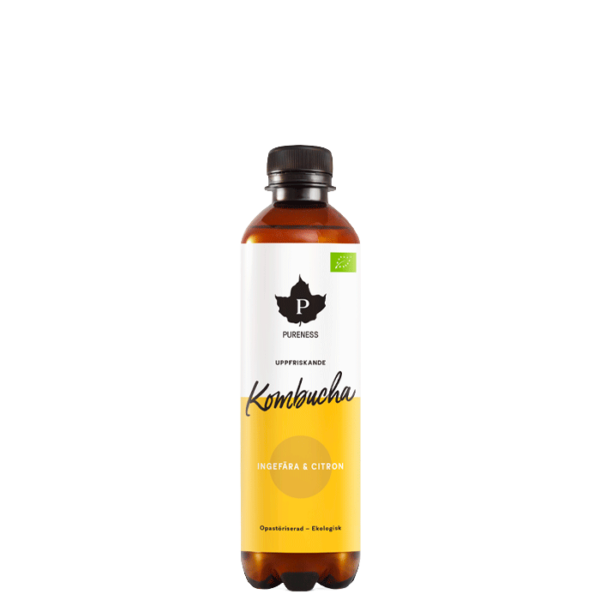 Kombucha EKO 370 ml