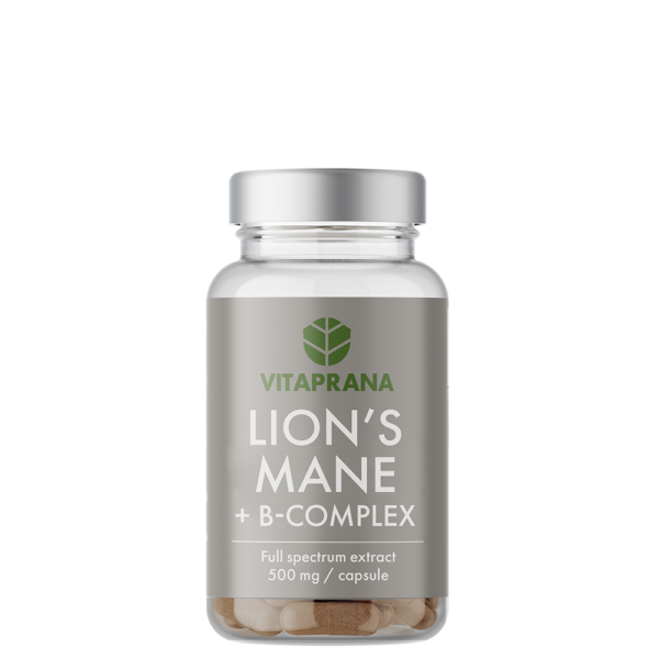 Lion´s Mane + B complex