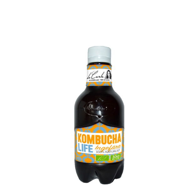 Økologisk Kombucha Ingefær