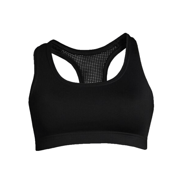 Iconic Sports Bra