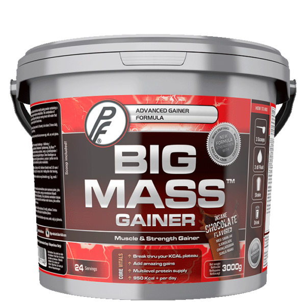 Big Mass Gainer