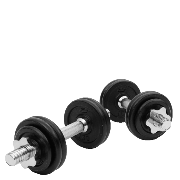 Abilica Dumbbell Set 13 kg