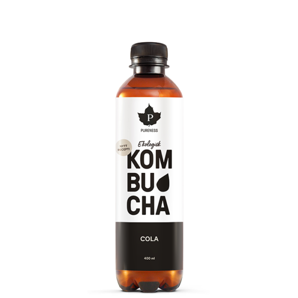 Kombucha EKO 400 ml