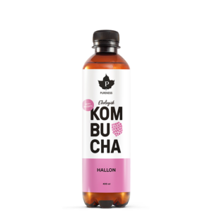 Kombucha EKO 400 ml