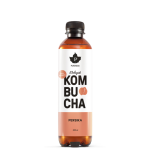 Kombucha EKO 400 ml