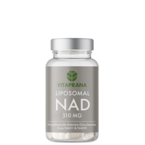 Liposomal NAD+ med NADH 510 mg 30 kapslar