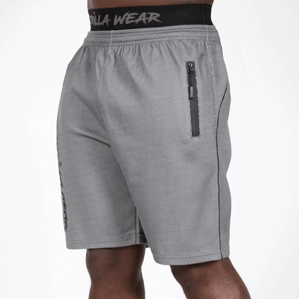 Mercury Mesh Shorts