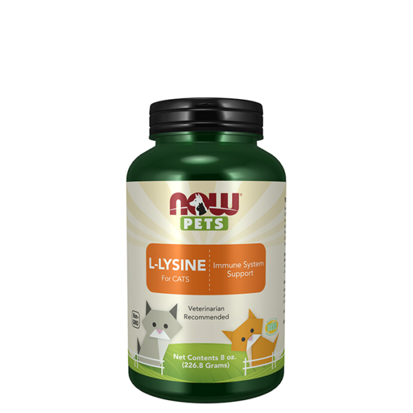 L-Lysine Pulver 226