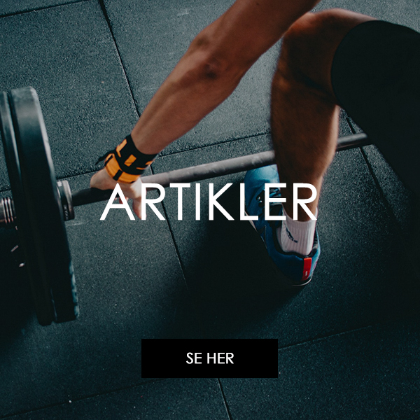 Artikler