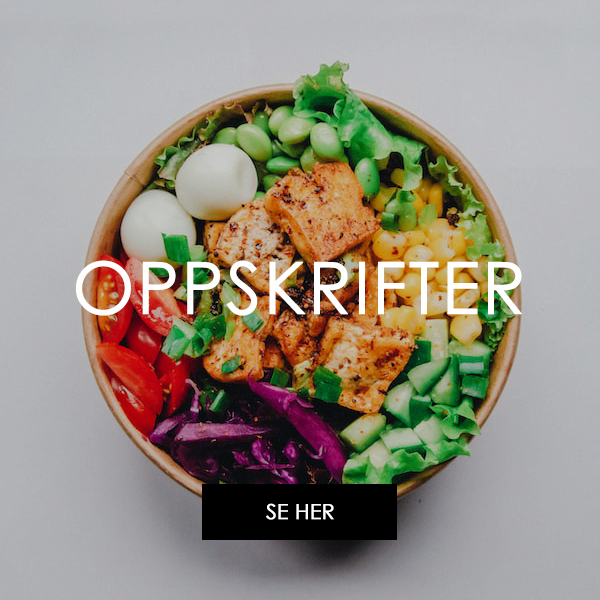 Oppskrifter